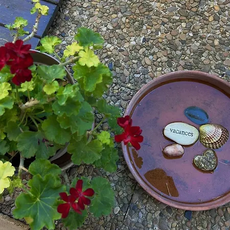 T3 Lumineux Avec Jardinet - - Fr-1-388-245 *